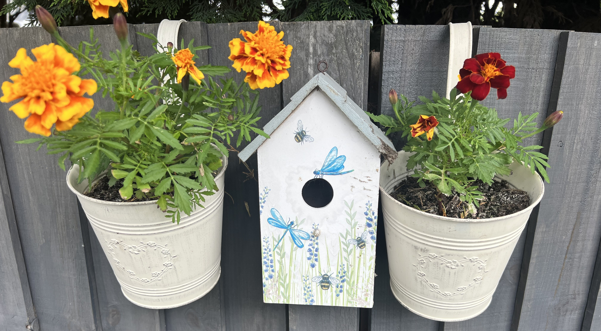 A decorative birdhouse painted with dragonflies and bees, nestled between vibrant orange and red marigold flowers in hanging pots on a wooden fence